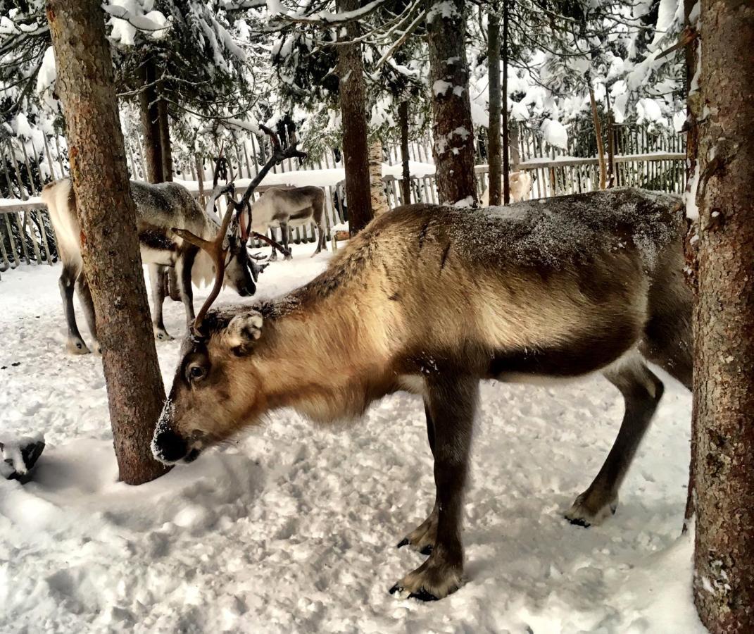 Ruka Chalet Oliver ภายนอก รูปภาพ